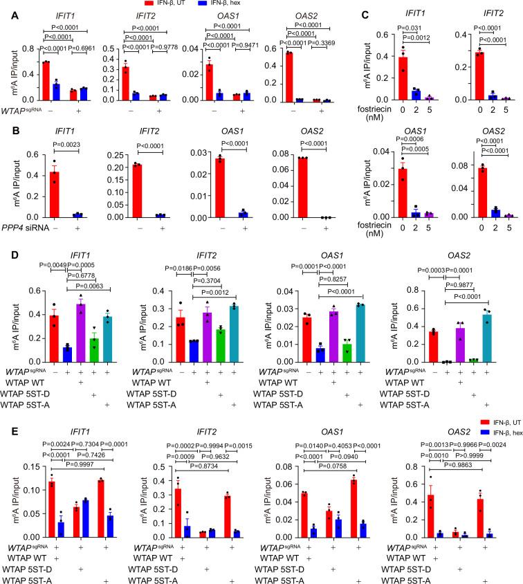 https://cdn.ncbi.nlm.nih.gov/pmc/blobs/10e2/12113268/6281c8d5308b/elife-100601-fig4.jpg