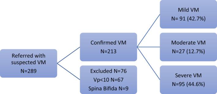 https://cdn.ncbi.nlm.nih.gov/pmc/blobs/10e3/9790218/fd0a8cb69965/IJGO-159-891-g001.jpg