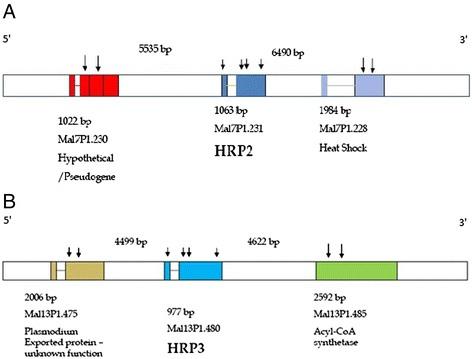 https://cdn.ncbi.nlm.nih.gov/pmc/blobs/10e4/4308922/9de159b150f5/12936_2014_537_Fig1_HTML.jpg