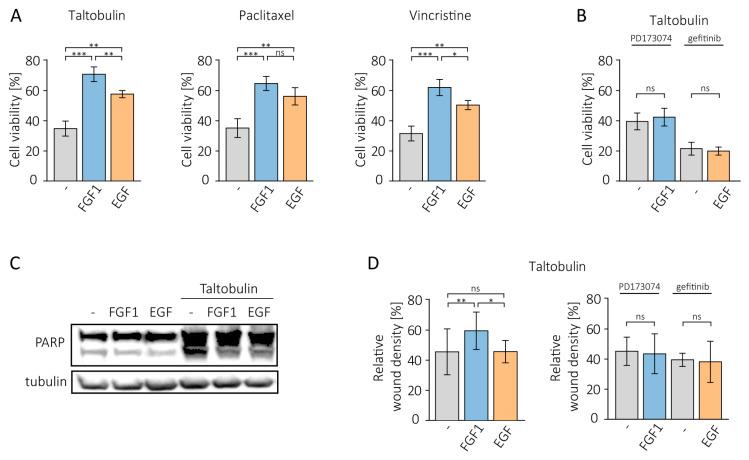 https://cdn.ncbi.nlm.nih.gov/pmc/blobs/10e6/10376943/6fa03aaaf9a9/biomedicines-11-01856-g001.jpg
