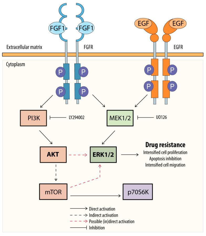 https://cdn.ncbi.nlm.nih.gov/pmc/blobs/10e6/10376943/7fc631c7651c/biomedicines-11-01856-g004.jpg
