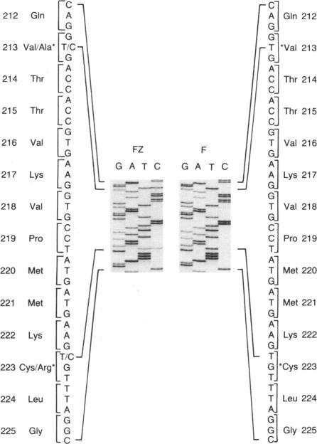 https://cdn.ncbi.nlm.nih.gov/pmc/blobs/10e6/1683089/75cf8d81e5e3/ajhg00090-0141-b.jpg