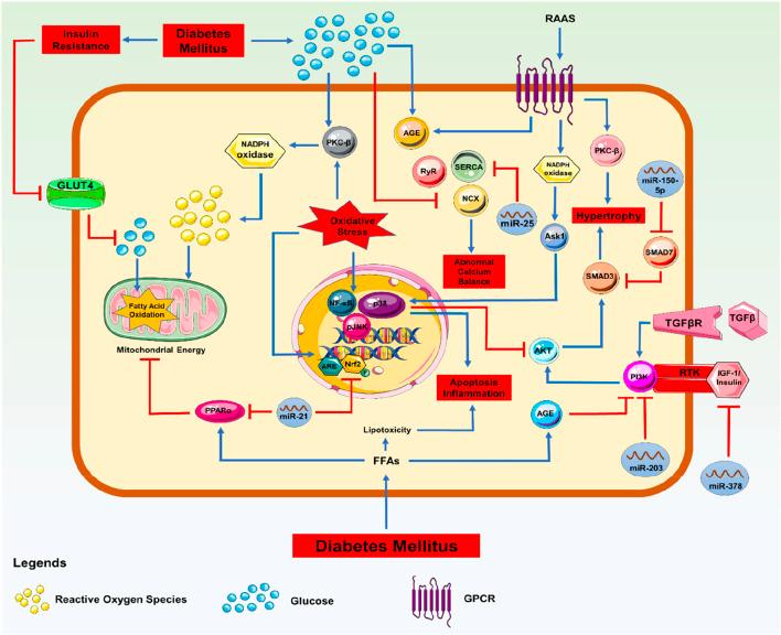 https://cdn.ncbi.nlm.nih.gov/pmc/blobs/10ea/12325205/44ca84cd9dd3/fphar-16-1613844-g002.jpg