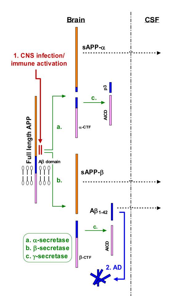 https://cdn.ncbi.nlm.nih.gov/pmc/blobs/10ea/2807422/21f650d51e64/1471-2377-9-63-4.jpg