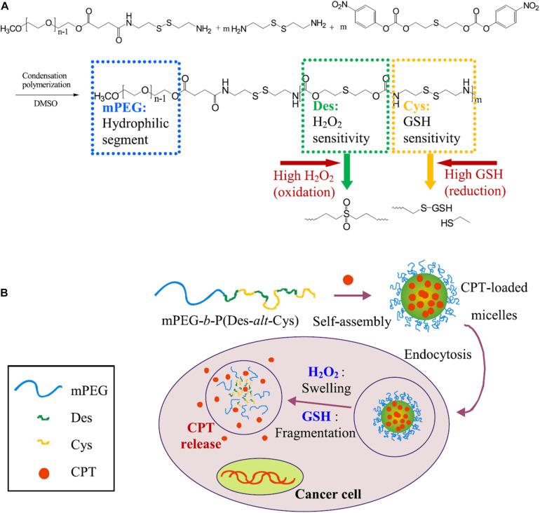 https://cdn.ncbi.nlm.nih.gov/pmc/blobs/10ea/8267819/084f24e74b84/fbioe-09-707319-g004.jpg