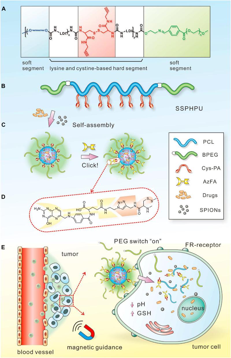 https://cdn.ncbi.nlm.nih.gov/pmc/blobs/10ea/8267819/46f9cc1d9b8e/fbioe-09-707319-g009.jpg