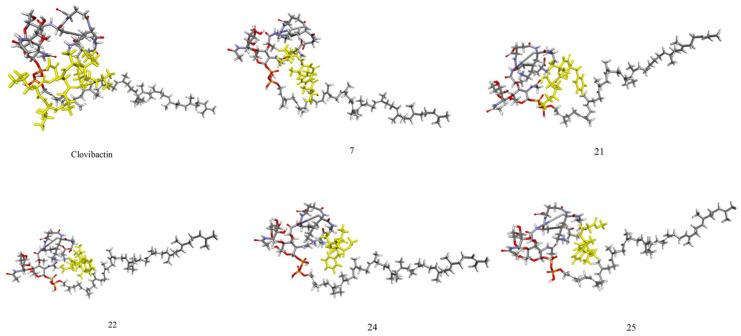 https://cdn.ncbi.nlm.nih.gov/pmc/blobs/10eb/11855776/3e4bd8155581/ijms-26-01724-g003.jpg