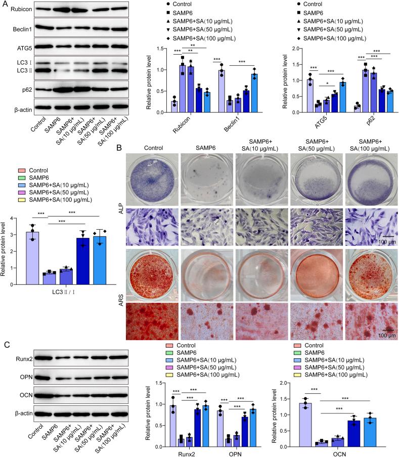 https://cdn.ncbi.nlm.nih.gov/pmc/blobs/10ec/12266271/6c01c5266c3e/gr2.jpg