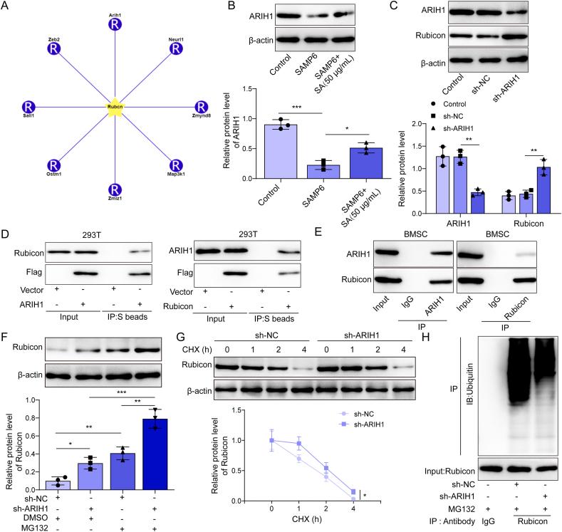 https://cdn.ncbi.nlm.nih.gov/pmc/blobs/10ec/12266271/d69636c58a65/gr3.jpg