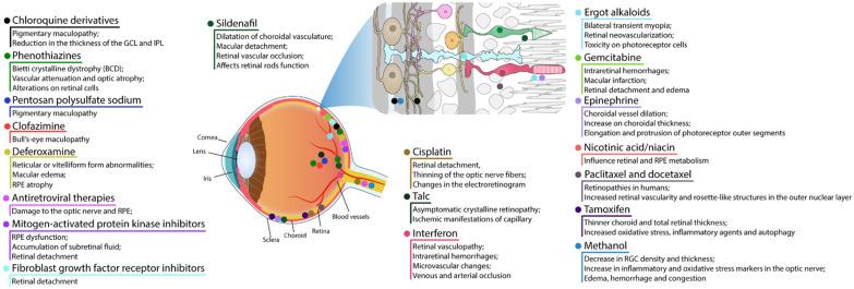 https://cdn.ncbi.nlm.nih.gov/pmc/blobs/10ec/9331776/2bb2067719d0/ijms-23-08182-g002.jpg