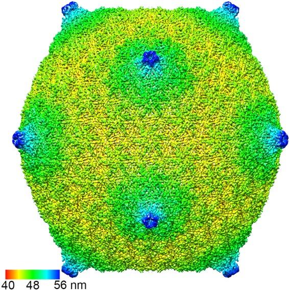 https://cdn.ncbi.nlm.nih.gov/pmc/blobs/10f0/4621102/7b0d8415a6d8/zjv9990909310006.jpg