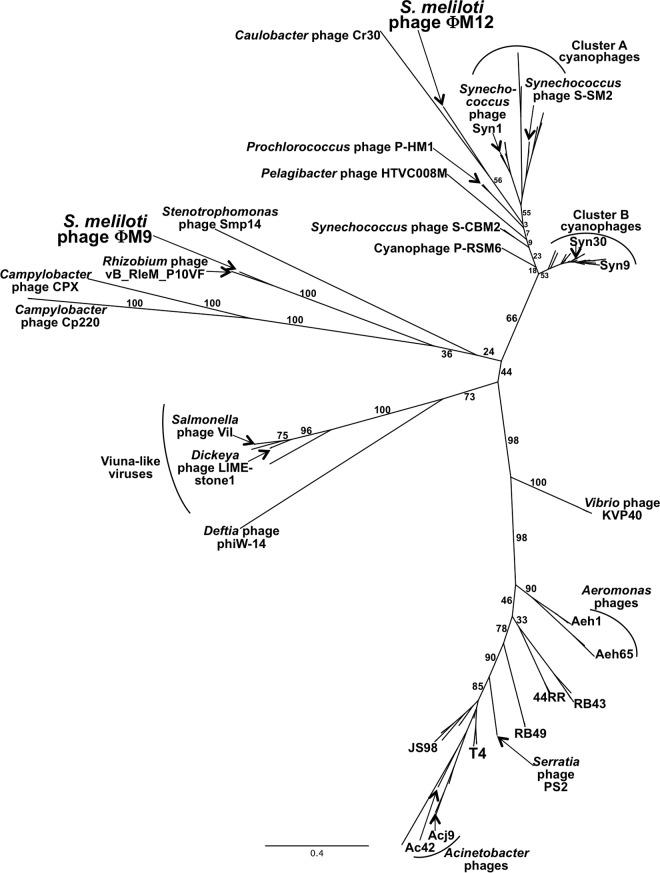 https://cdn.ncbi.nlm.nih.gov/pmc/blobs/10f0/4621102/7b41841f05f5/zjv9990909310002.jpg