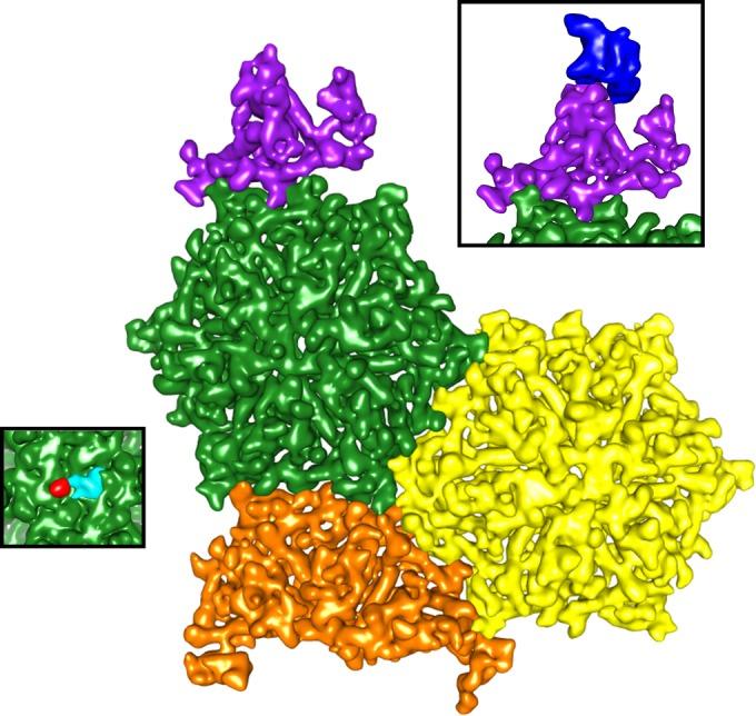 https://cdn.ncbi.nlm.nih.gov/pmc/blobs/10f0/4621102/b89d8c2ec486/zjv9990909310008.jpg