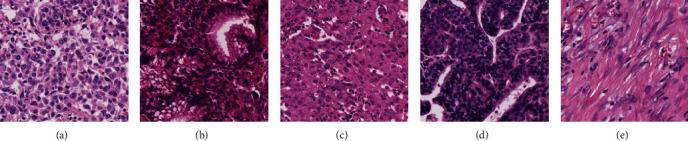 https://cdn.ncbi.nlm.nih.gov/pmc/blobs/10f1/9283032/4d98f9bc41b1/BMRI2022-7966553.001.jpg
