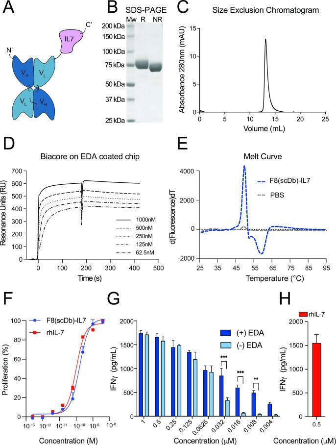 https://cdn.ncbi.nlm.nih.gov/pmc/blobs/10f2/11332014/24e0d49f2c7b/jitc-12-8-g003.jpg