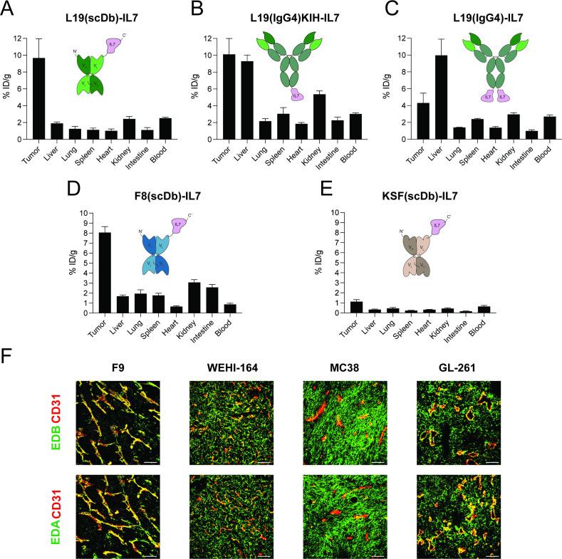 https://cdn.ncbi.nlm.nih.gov/pmc/blobs/10f2/11332014/4f1cab73cfb3/jitc-12-8-g001.jpg