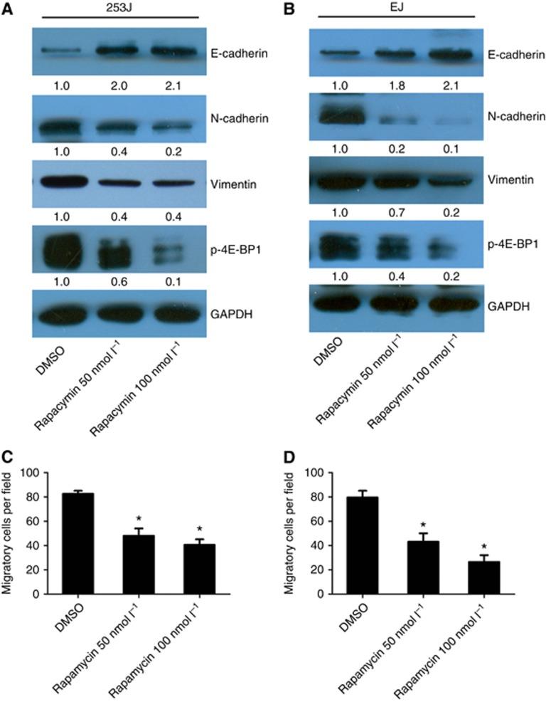 https://cdn.ncbi.nlm.nih.gov/pmc/blobs/10f2/4742580/75e4e4bff3e0/bjc2015444f4.jpg