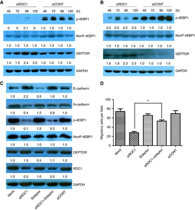 https://cdn.ncbi.nlm.nih.gov/pmc/blobs/10f2/4742580/8c02734b8edc/bjc2015444f3.jpg