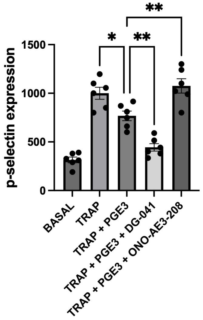 https://cdn.ncbi.nlm.nih.gov/pmc/blobs/10f7/11673155/247cadb65966/biomedicines-12-02855-g002.jpg