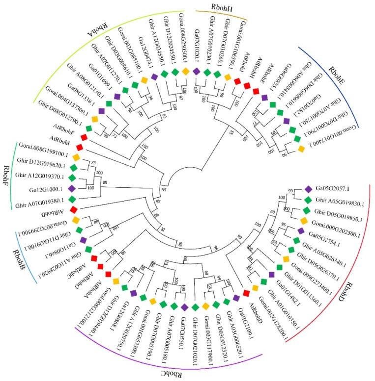 https://cdn.ncbi.nlm.nih.gov/pmc/blobs/10f7/8657740/9dc84d4ac177/ijms-22-13041-g001.jpg