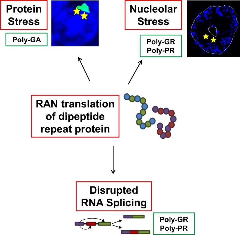 https://cdn.ncbi.nlm.nih.gov/pmc/blobs/10f9/4404438/6a18558cafa1/13311_2015_342_Fig3_HTML.jpg