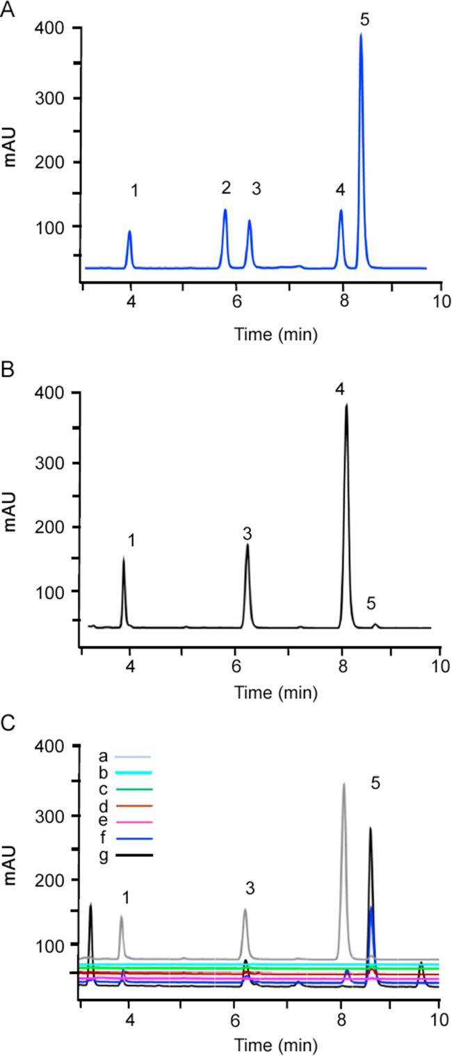 https://cdn.ncbi.nlm.nih.gov/pmc/blobs/10f9/5762927/e625bba732a1/gr4.jpg