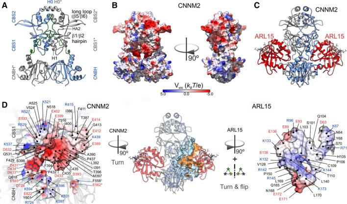 https://cdn.ncbi.nlm.nih.gov/pmc/blobs/10fa/11072165/734cb58c49a8/18_2021_3832_Fig3_HTML.jpg