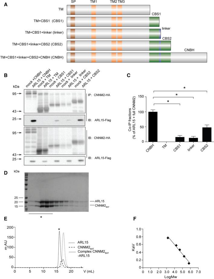 https://cdn.ncbi.nlm.nih.gov/pmc/blobs/10fa/11072165/bd6bda658557/18_2021_3832_Fig2_HTML.jpg