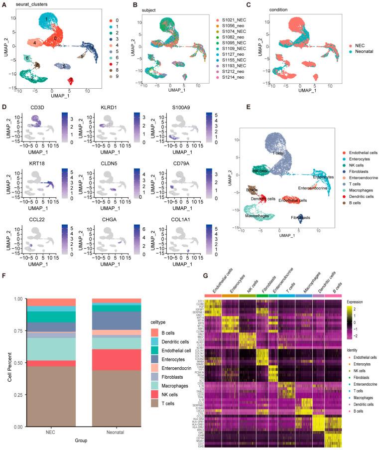 https://cdn.ncbi.nlm.nih.gov/pmc/blobs/10fb/12071306/022ce1ad0a01/ijms-26-04036-g001.jpg
