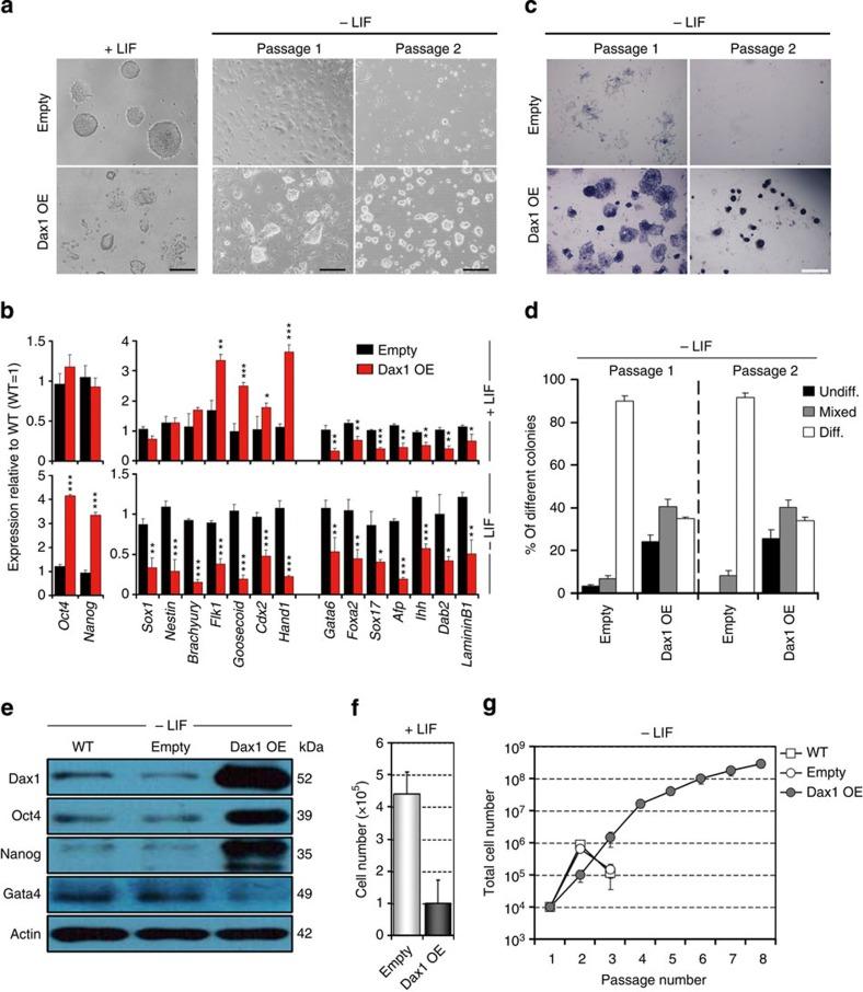 https://cdn.ncbi.nlm.nih.gov/pmc/blobs/10fb/4205889/21a0dac87f66/ncomms6042-f3.jpg