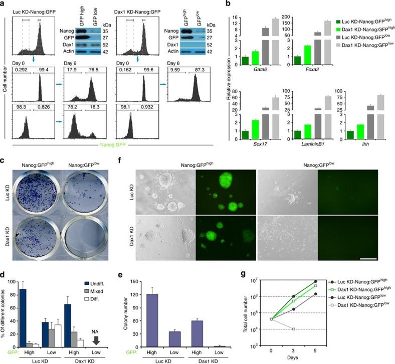 https://cdn.ncbi.nlm.nih.gov/pmc/blobs/10fb/4205889/7f3abbf007a1/ncomms6042-f7.jpg