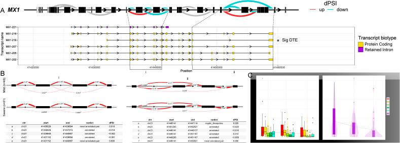 https://cdn.ncbi.nlm.nih.gov/pmc/blobs/10fc/11147948/2c8e2b3f78be/LSA-2024-02683_FigS2.jpg
