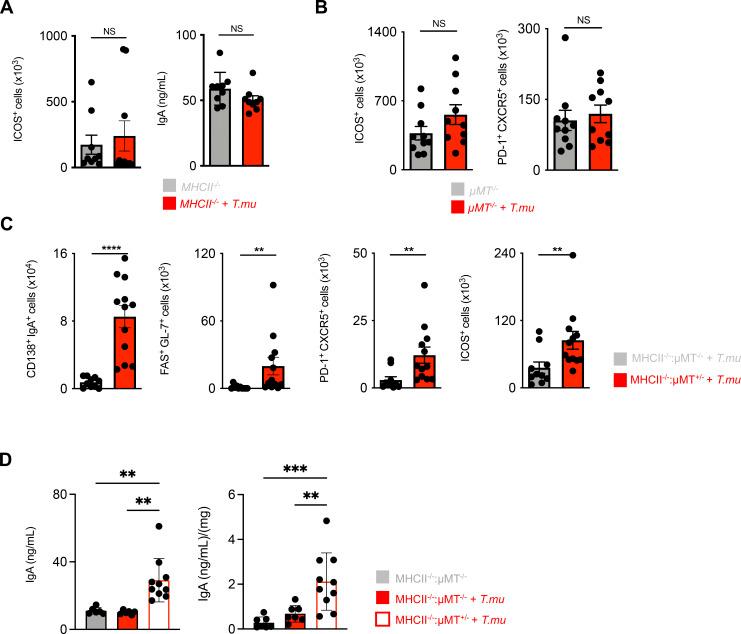 https://cdn.ncbi.nlm.nih.gov/pmc/blobs/10fd/11561467/243adac287df/JEM_20221727_Fig4.jpg