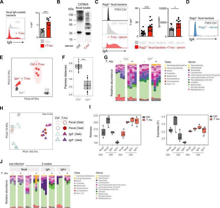 https://cdn.ncbi.nlm.nih.gov/pmc/blobs/10fd/11561467/7eec49129dcb/JEM_20221727_Fig3.jpg