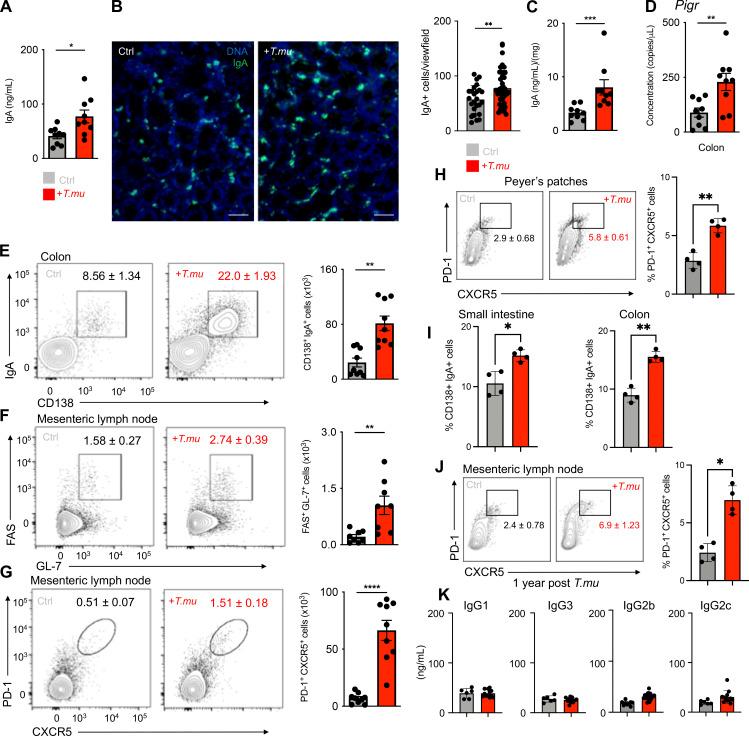 https://cdn.ncbi.nlm.nih.gov/pmc/blobs/10fd/11561467/a372115b59c5/JEM_20221727_Fig1.jpg