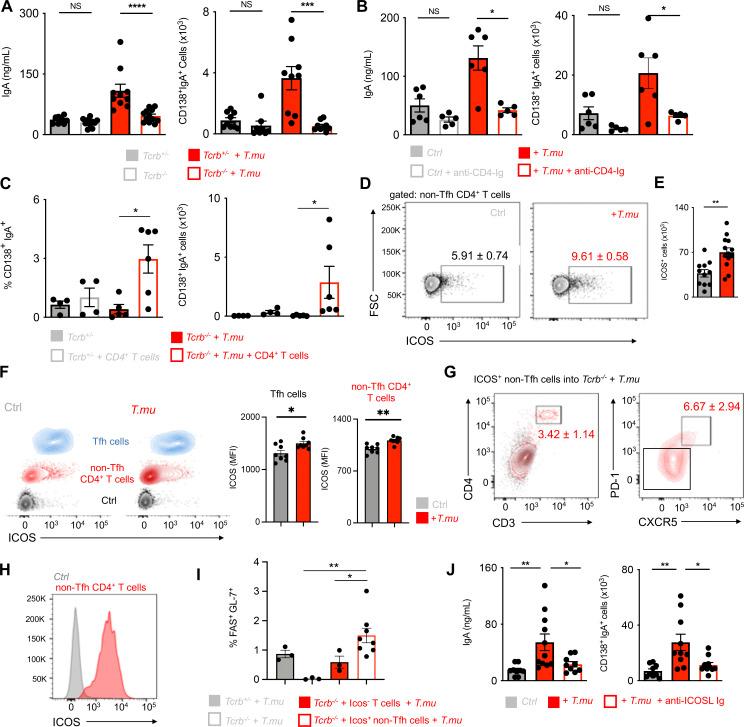 https://cdn.ncbi.nlm.nih.gov/pmc/blobs/10fd/11561467/d2bb681925a3/JEM_20221727_Fig2.jpg