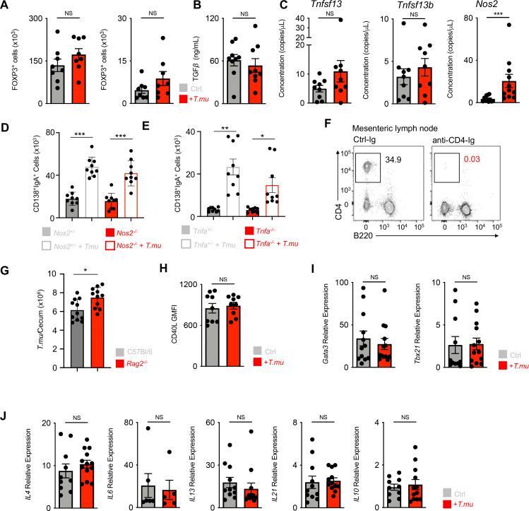 https://cdn.ncbi.nlm.nih.gov/pmc/blobs/10fd/11561467/e10b420024bd/JEM_20221727_FigS1.jpg