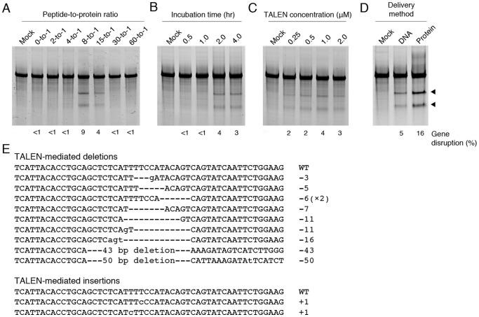 https://cdn.ncbi.nlm.nih.gov/pmc/blobs/10fd/3896395/9f70a8f2c686/pone.0085755.g003.jpg
