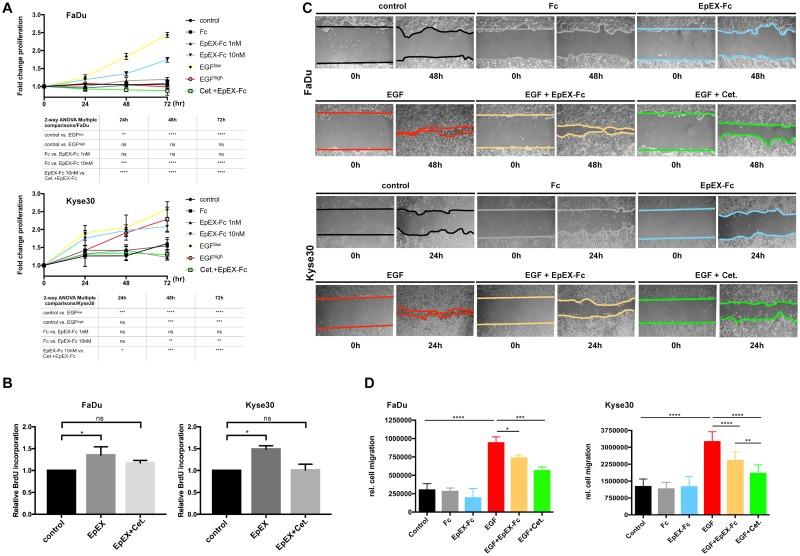 https://cdn.ncbi.nlm.nih.gov/pmc/blobs/10fd/6177200/9954c9f3754e/pbio.2006624.g004.jpg