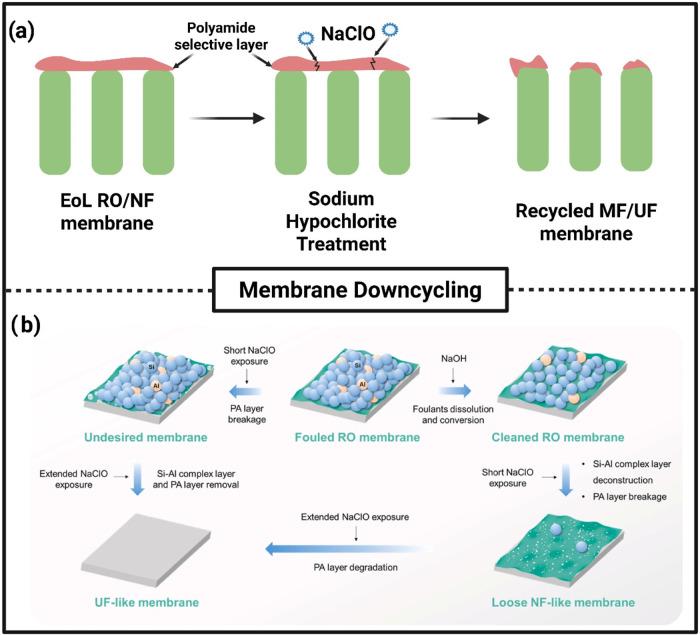 https://cdn.ncbi.nlm.nih.gov/pmc/blobs/10fe/12341036/7732187e71ee/ee5c00282_0009.jpg