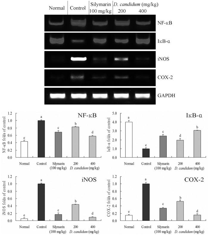 https://cdn.ncbi.nlm.nih.gov/pmc/blobs/10ff/4113641/a233cc35f241/ETM-08-03-1015-g01.jpg