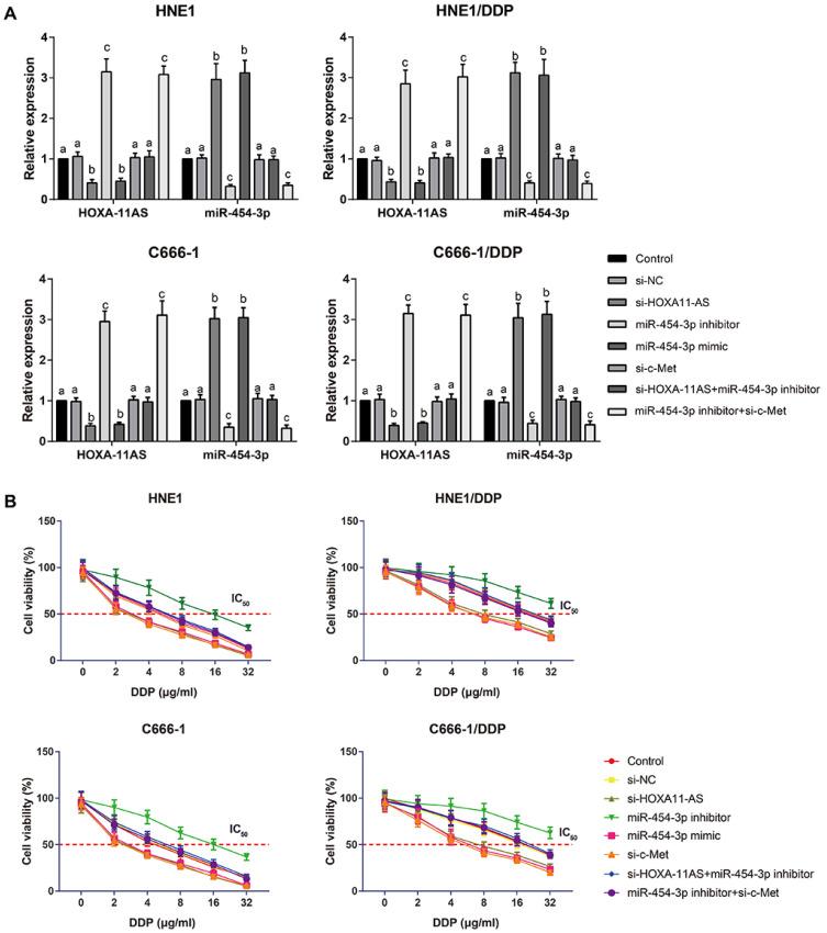 https://cdn.ncbi.nlm.nih.gov/pmc/blobs/1101/7604026/037fa69952b3/molce-43-856-f3.jpg