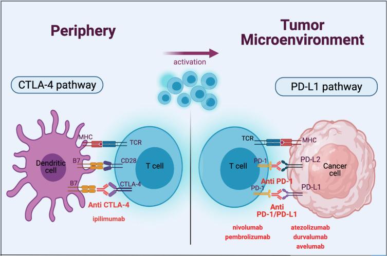 https://cdn.ncbi.nlm.nih.gov/pmc/blobs/1101/8517415/544e25ae8842/BTT-15-399-g0001.jpg