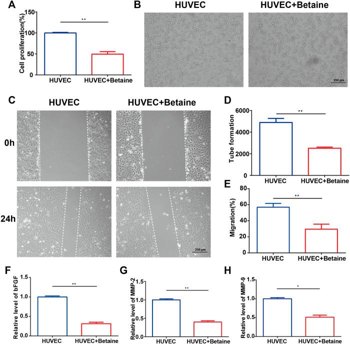 https://cdn.ncbi.nlm.nih.gov/pmc/blobs/1102/8511433/5f321b15faee/fphar-12-723988-g005.jpg
