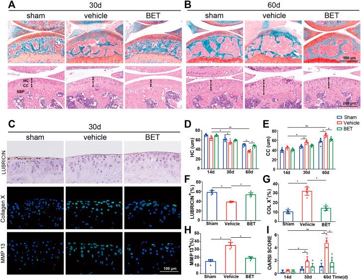 https://cdn.ncbi.nlm.nih.gov/pmc/blobs/1102/8511433/8206955e37f7/fphar-12-723988-g003.jpg