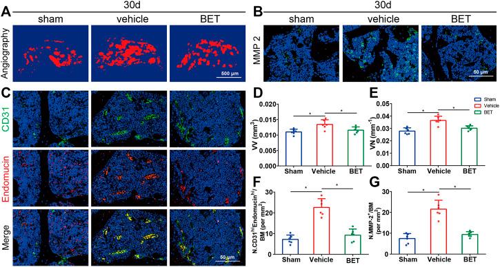 https://cdn.ncbi.nlm.nih.gov/pmc/blobs/1102/8511433/8439e71aa2d6/fphar-12-723988-g006.jpg