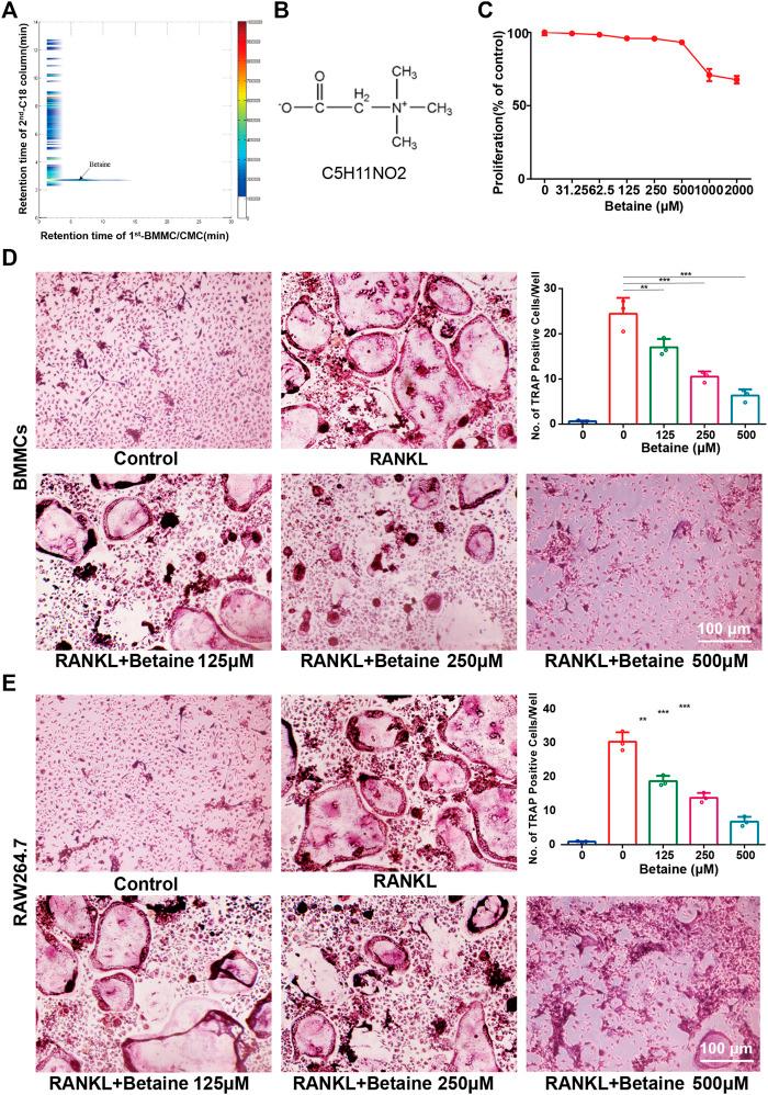 https://cdn.ncbi.nlm.nih.gov/pmc/blobs/1102/8511433/fafdce1cf65f/fphar-12-723988-g001.jpg