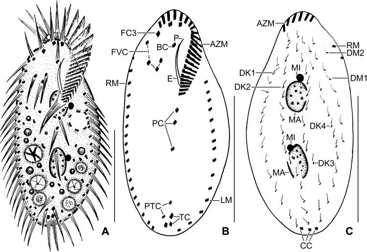 https://cdn.ncbi.nlm.nih.gov/pmc/blobs/1103/6245743/e858b726bde0/pone.0207688.g001.jpg