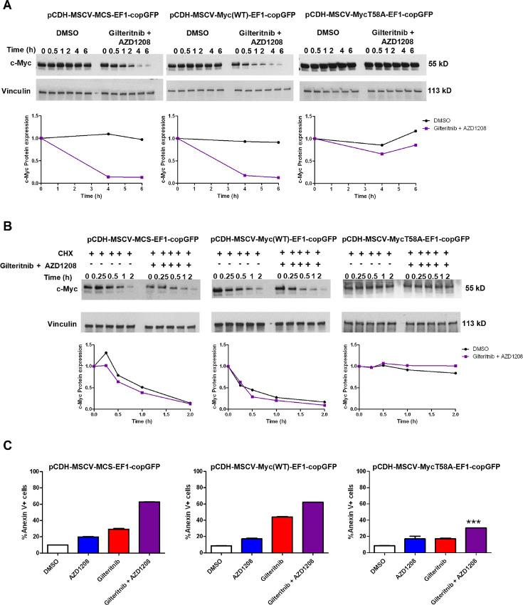 https://cdn.ncbi.nlm.nih.gov/pmc/blobs/1109/10870818/1ef2b841d8e2/crc-23-0379_fig5.jpg