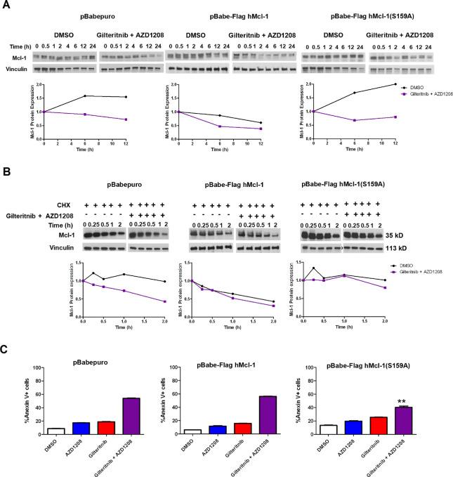 https://cdn.ncbi.nlm.nih.gov/pmc/blobs/1109/10870818/3d246b7e44ea/crc-23-0379_fig6.jpg